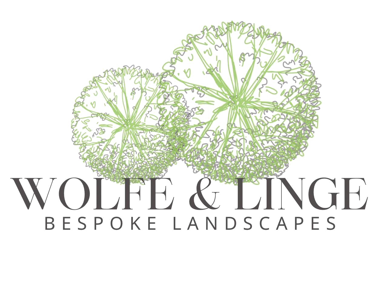 new logo wolfe